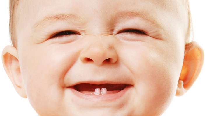 dentes-de-leite-simonepaiva